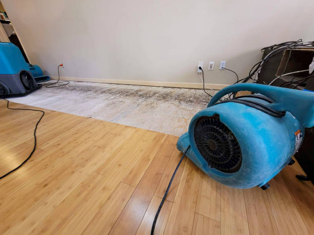 Professional Sewage Cleanup technician working in Garrett, WA
